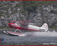 TSR Watermark - 0245